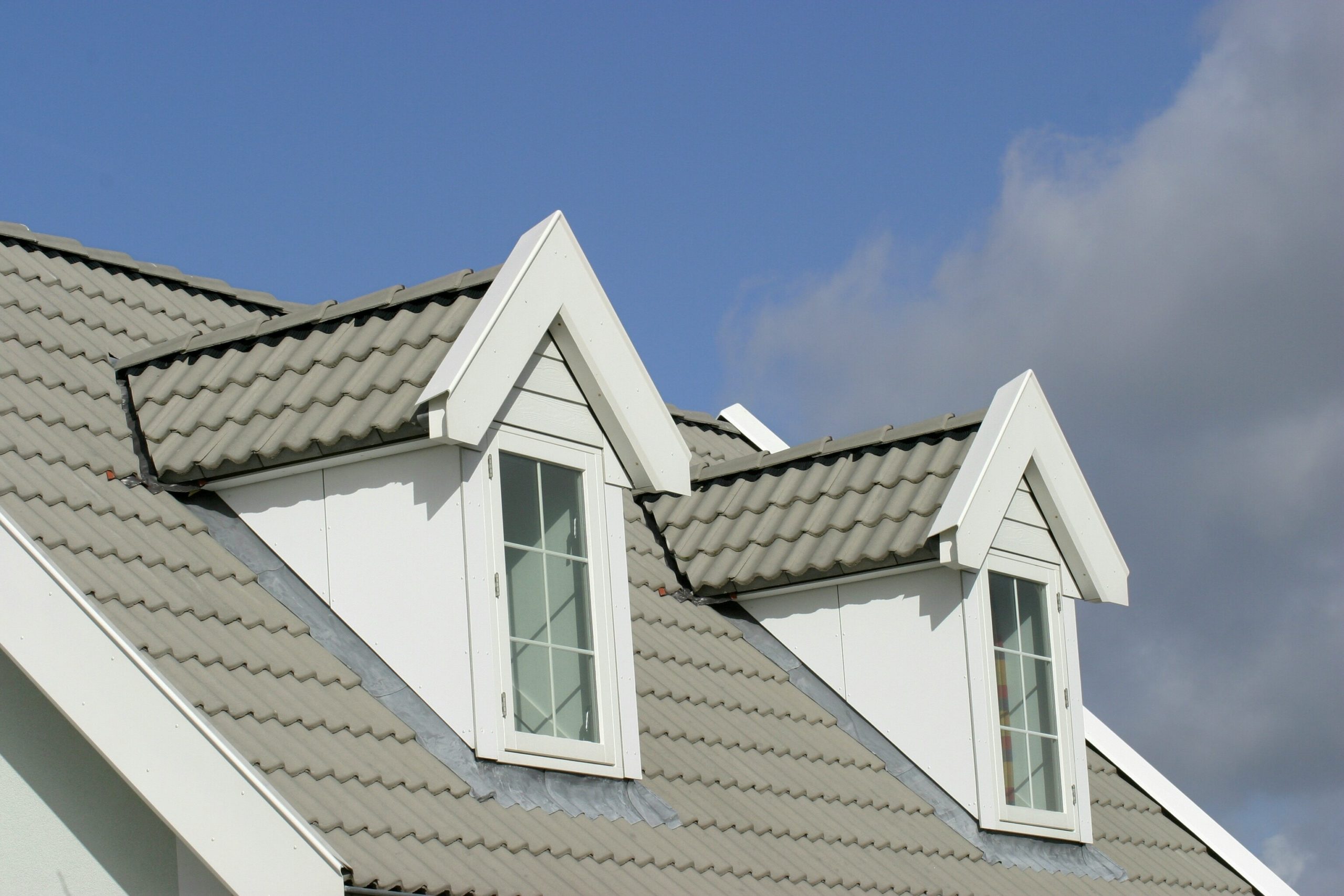 Roof Cleaning